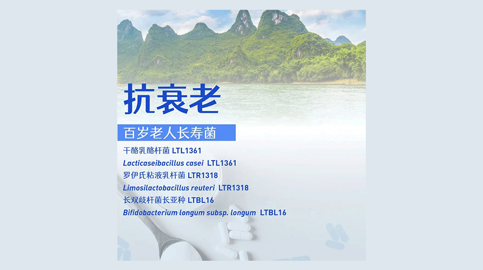 益生菌科研前沿：揭秘巴马长寿菌与健效达PQQ的协同奥秘，重塑抗衰新标准