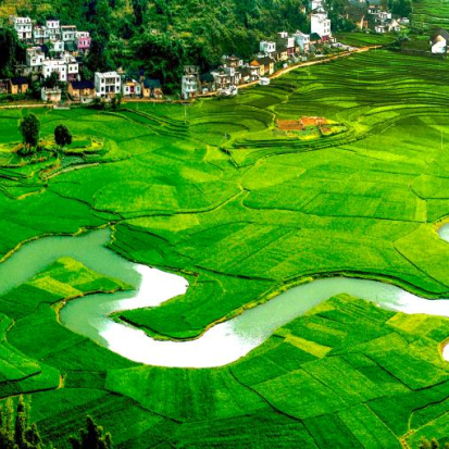 益生菌科研前沿：揭秘巴马长寿菌与健效达PQQ的协同奥秘，重塑抗衰新标准(图2)